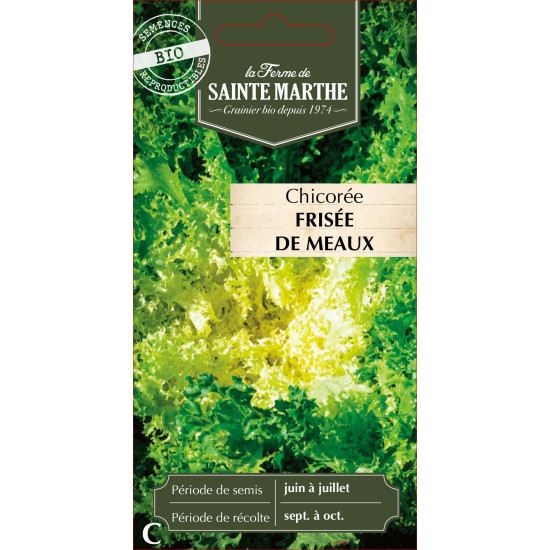 Chicoree frisee de meaux bio -ferme sainte marth de La Ferme de Sainte Marthe - Graines BIO dans Graines de Chicoree