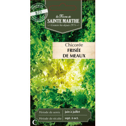 Chicoree frisee de meaux bio -ferme sainte marth de La Ferme de Sainte Marthe - Graines BIO dans Graines de Chicoree