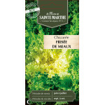 Chicoree frisee de meaux bio -ferme sainte marth de La Ferme de Sainte Marthe - Graines BIO dans Graines de Chicoree