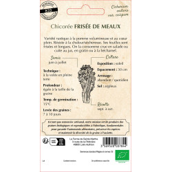 Chicoree frisee de meaux bio -ferme sainte marth de La Ferme de Sainte Marthe - Graines BIO dans Graines de Chicoree