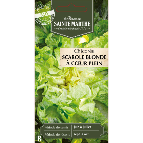Chicoree scarole blonde a coeur -sainte marthe de La Ferme de Sainte Marthe - Graines BIO dans Graines de Chicoree