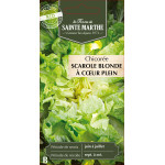 Chicoree scarole blonde a coeur -sainte marthe de La Ferme de Sainte Marthe - Graines BIO dans Graines de Chicoree