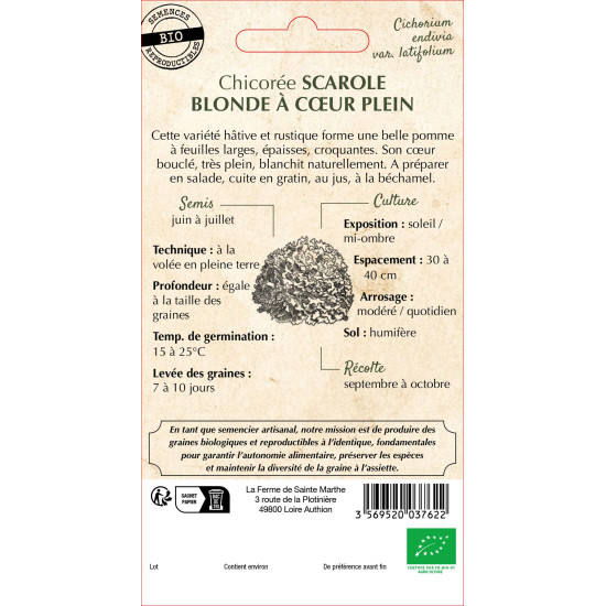 Chicoree scarole blonde a coeur -sainte marthe de La Ferme de Sainte Marthe - Graines BIO dans Graines de Chicoree