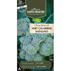 Chou brocoli vert calabrese bio - sainte marthe de La Ferme de Sainte Marthe - Graines BIO dans Graines de Chou
