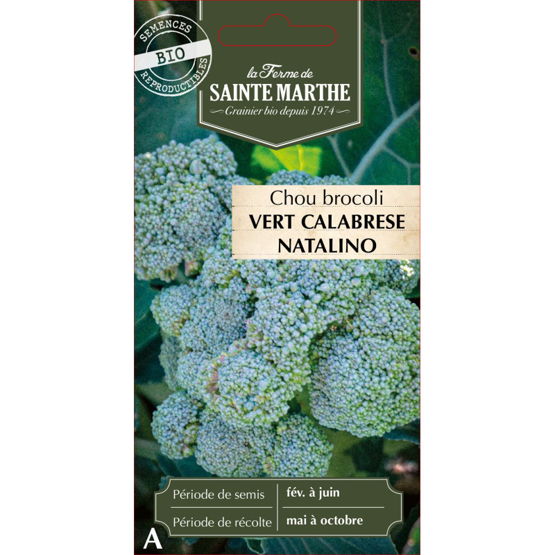 Chou brocoli vert calabrese bio - sainte marthe de La Ferme de Sainte Marthe - Graines BIO dans Graines de Chou
