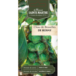 Chou de bruxelles de rosny bio - sainte marthe de La Ferme de Sainte Marthe - Graines BIO dans Graines de Chou