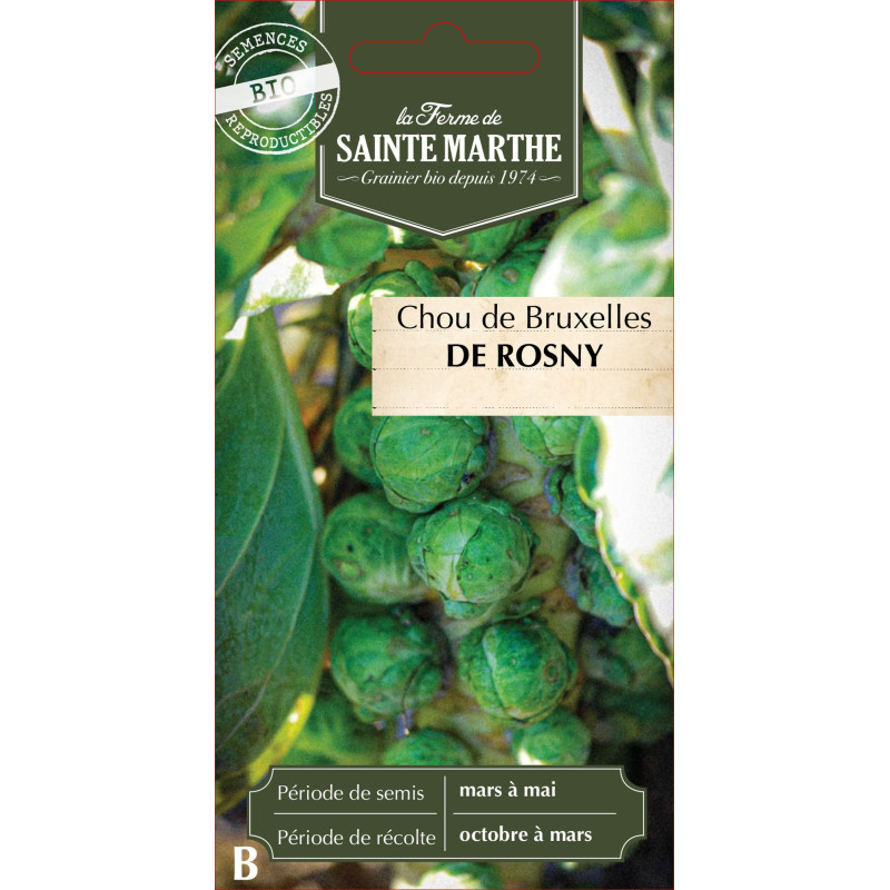 Chou de bruxelles de rosny bio - sainte marthe de La Ferme de Sainte Marthe - Graines BIO dans Graines de Chou