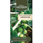Chou de bruxelles groninger bio - sainte marthe de La Ferme de Sainte Marthe - Graines BIO dans Graines de Chou