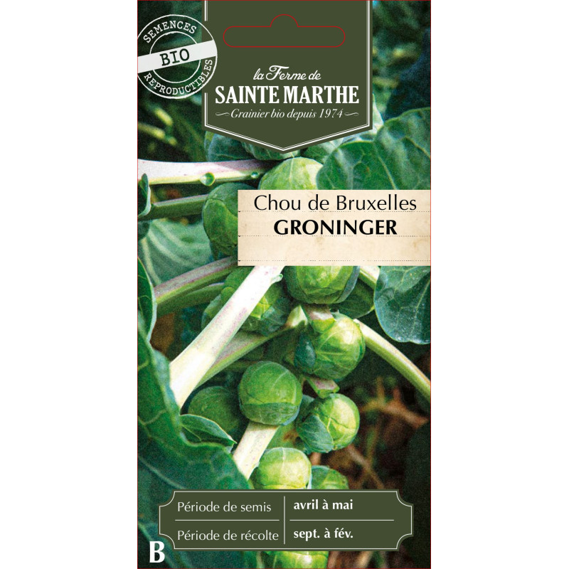 Chou de bruxelles groninger bio - sainte marthe de La Ferme de Sainte Marthe - Graines BIO dans Graines de Chou