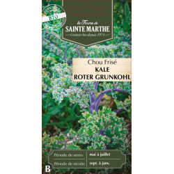 Chou kale roter grunkohl bio -ferme sainte marth de La Ferme de Sainte Marthe - Graines BIO dans Graines de Chou