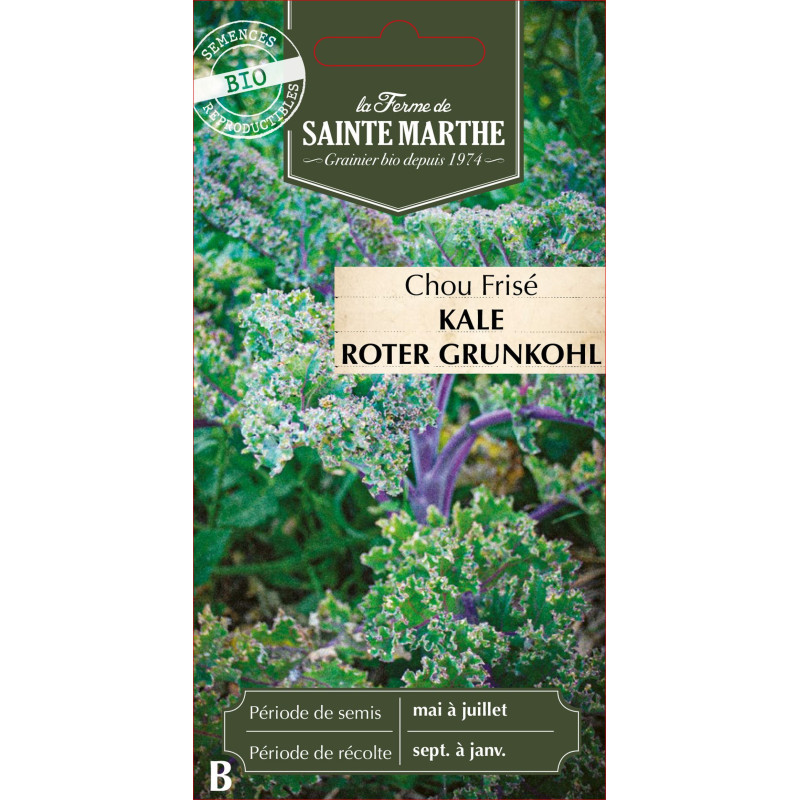 Chou kale roter grunkohl bio -ferme sainte marth de La Ferme de Sainte Marthe - Graines BIO dans Graines de Chou