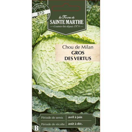 Chou milan gros des vertus bio - sainte marthe de La Ferme de Sainte Marthe - Graines BIO dans Graines de Chou