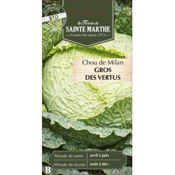 Chou milan gros des vertus bio - sainte marthe de La Ferme de Sainte Marthe - Graines BIO dans Graines de Chou