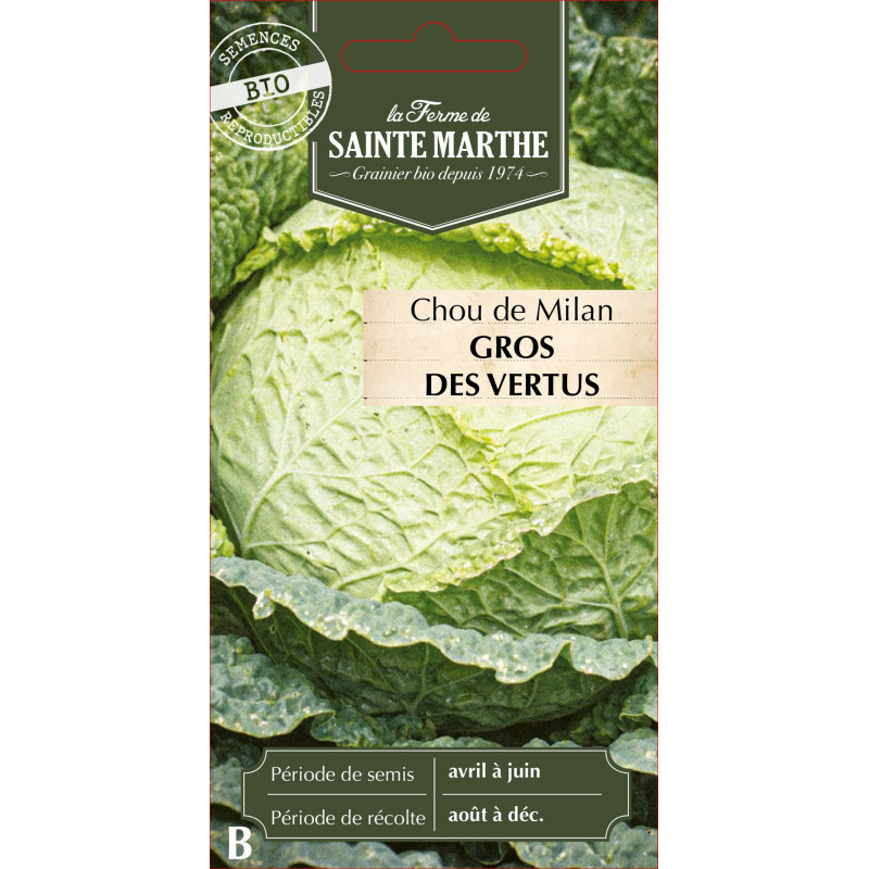 Chou milan gros des vertus bio - sainte marthe de La Ferme de Sainte Marthe - Graines BIO dans Graines de Chou