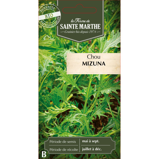 Chou mizuna bio - ferme sainte marthe de La Ferme de Sainte Marthe - Graines BIO dans Graines de Chou