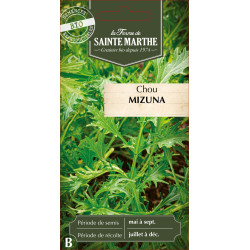 Chou mizuna bio - ferme sainte marthe de La Ferme de Sainte Marthe - Graines BIO dans Graines de Chou