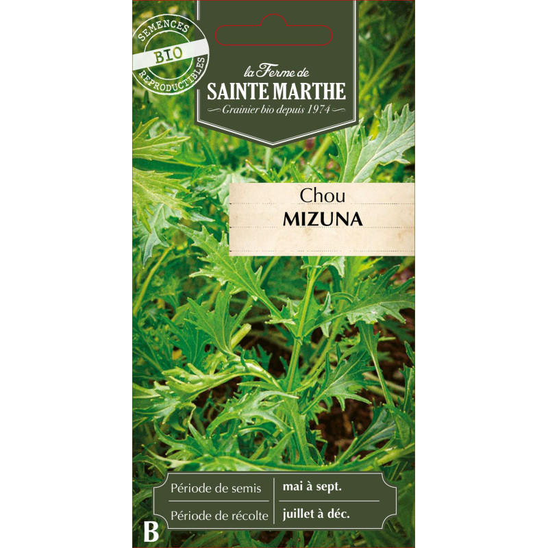 Chou mizuna bio - ferme sainte marthe de La Ferme de Sainte Marthe - Graines BIO dans Graines de Chou