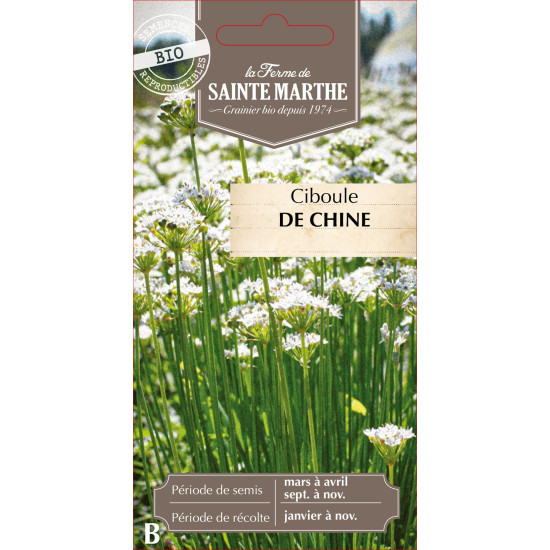 Ciboule de chine bio - ferme sainte marthe de La Ferme de Sainte Marthe - Graines BIO dans Graines de Ciboulette - Ciboule