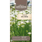 Ciboule de chine bio - ferme sainte marthe de La Ferme de Sainte Marthe - Graines BIO dans Graines de Ciboulette - Ciboule