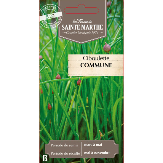 Ciboulette commune bio - ferme sainte marthe de La Ferme de Sainte Marthe - Graines BIO dans Graines de Ciboulette - Ciboule