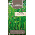 Ciboulette commune bio - ferme sainte marthe de La Ferme de Sainte Marthe - Graines BIO dans Graines de Ciboulette - Ciboule