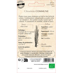 Ciboulette commune bio - ferme sainte marthe de La Ferme de Sainte Marthe - Graines BIO dans Graines de Ciboulette - Ciboule