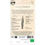 Ciboulette commune bio - ferme sainte marthe de La Ferme de Sainte Marthe - Graines BIO dans Graines de Ciboulette - Ciboule