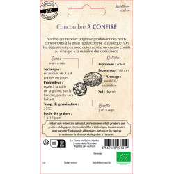 Concombre a confire bio - ferme sainte marthe de La Ferme de Sainte Marthe - Graines BIO dans Graines de Concombre