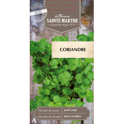 Coriandre bio - ferme sainte marthe de La Ferme de Sainte Marthe - Graines BIO dans Graines de Coriandre
