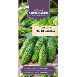 Cornichon fin de meaux bio - ferme sainte marthe de La Ferme de Sainte Marthe - Graines BIO dans Graines de Cornichon