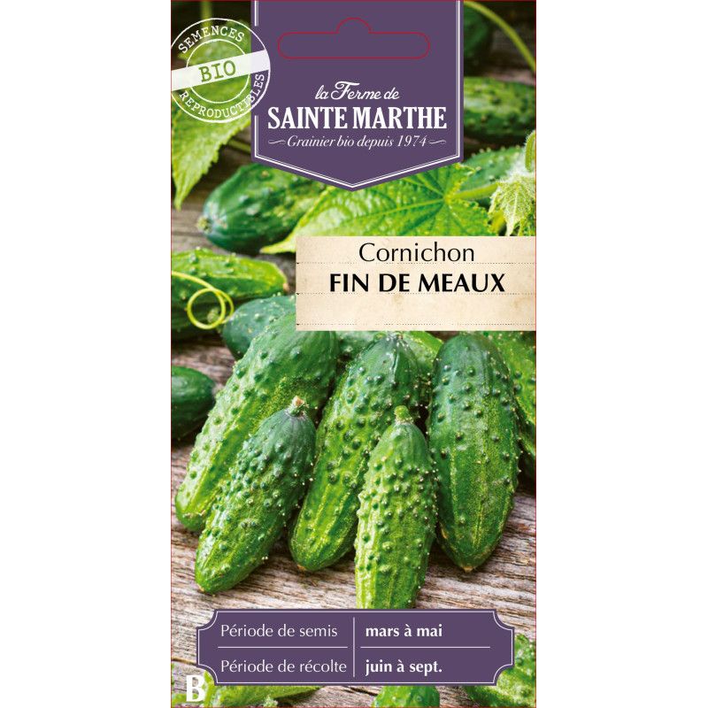 Cornichon fin de meaux bio - ferme sainte marthe de La Ferme de Sainte Marthe - Graines BIO dans Graines de Cornichon