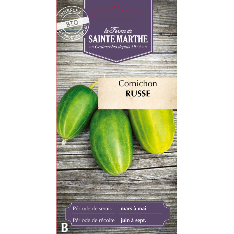 Cornichon russe bio - ferme sainte marthe de La Ferme de Sainte Marthe - Graines BIO dans Graines de Cornichon