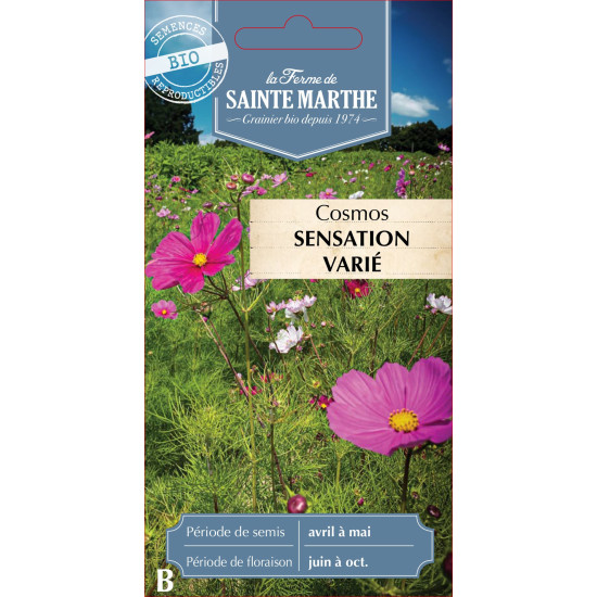 Cosmos sensation varie bio - ferme sainte marthe de La Ferme de Sainte Marthe - Graines BIO dans Graines de fleurs en C