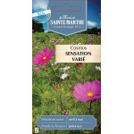 Cosmos sensation varie bio - ferme sainte marthe de La Ferme de Sainte Marthe - Graines BIO dans Graines de fleurs en C