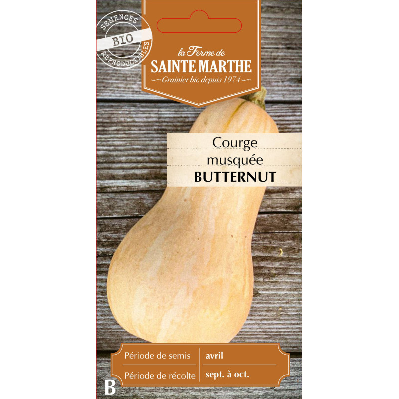 Courge musquee butternut bio -ferme sainte marth de La Ferme de Sainte Marthe - Graines BIO dans Graines de Courgette - Courge