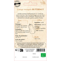 Courge musquee butternut bio -ferme sainte marth de La Ferme de Sainte Marthe - Graines BIO dans Graines de Courgette - Courge