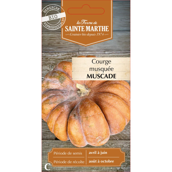 Courge musquee muscade bio - ferme sainte marthe de La Ferme de Sainte Marthe - Graines BIO dans Graines de Courgette - Courge