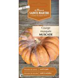 Courge musquee muscade bio - ferme sainte marthe de La Ferme de Sainte Marthe - Graines BIO dans Graines de Courgette - Courge
