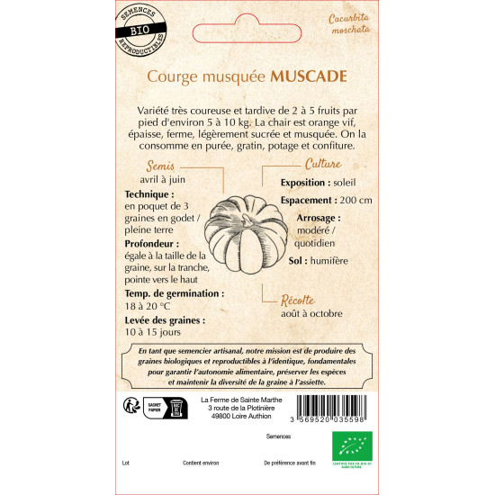 Courge musquee muscade bio - ferme sainte marthe de La Ferme de Sainte Marthe - Graines BIO dans Graines de Courgette - Courge