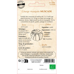 Courge musquee muscade bio - ferme sainte marthe de La Ferme de Sainte Marthe - Graines BIO dans Graines de Courgette - Courge