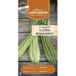 Courgette a cotes romanesco bio - sainte marthe de La Ferme de Sainte Marthe - Graines BIO dans Graines de Courgette - Courge