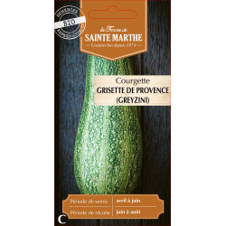 Courgette greyzini bio - ferme sainte marthe de La Ferme de Sainte Marthe - Graines BIO dans Graines de Courgette - Courge