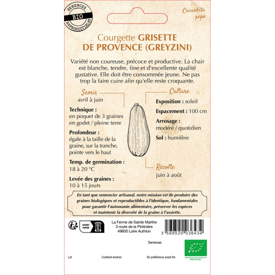 Courgette greyzini bio - ferme sainte marthe de La Ferme de Sainte Marthe - Graines BIO dans Graines de Courgette - Courge