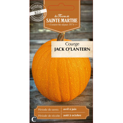 Courgette jack o lantern bio -ferme sainte marth de La Ferme de Sainte Marthe - Graines BIO dans Graines de Courgette - Courge