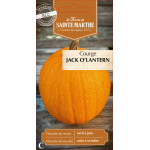Courgette jack o lantern bio -ferme sainte marth de La Ferme de Sainte Marthe - Graines BIO dans Graines de Courgette - Courge
