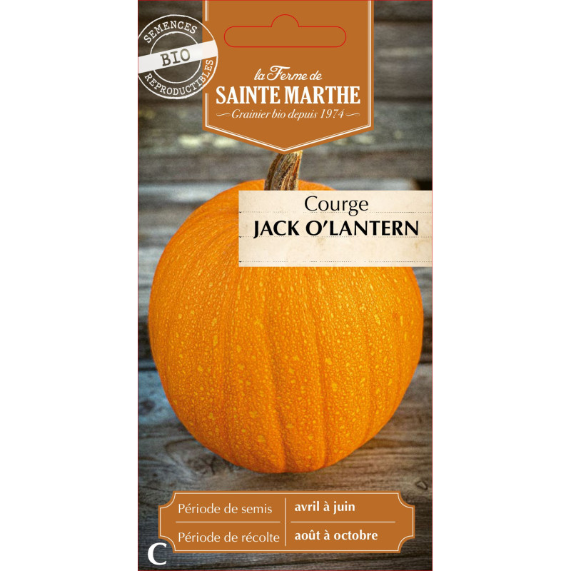 Courgette jack o lantern bio -ferme sainte marth de La Ferme de Sainte Marthe - Graines BIO dans Graines de Courgette - Courge