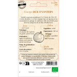 Courgette jack o lantern bio -ferme sainte marth de La Ferme de Sainte Marthe - Graines BIO dans Graines de Courgette - Courge