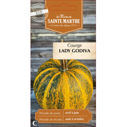 Courgette lady godiva bio - ferme sainte marthe de La Ferme de Sainte Marthe - Graines BIO dans Graines de Courgette - Courge