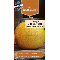 Courgette melon jaspee de vendee -sainte marthe de La Ferme de Sainte Marthe - Graines BIO dans Graines de Courgette - Courge