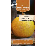 Courgette melon jaspee de vendee -sainte marthe de La Ferme de Sainte Marthe - Graines BIO dans Graines de Courgette - Courge